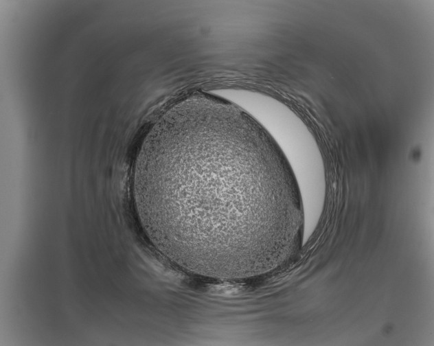 X0000097480511200802291401