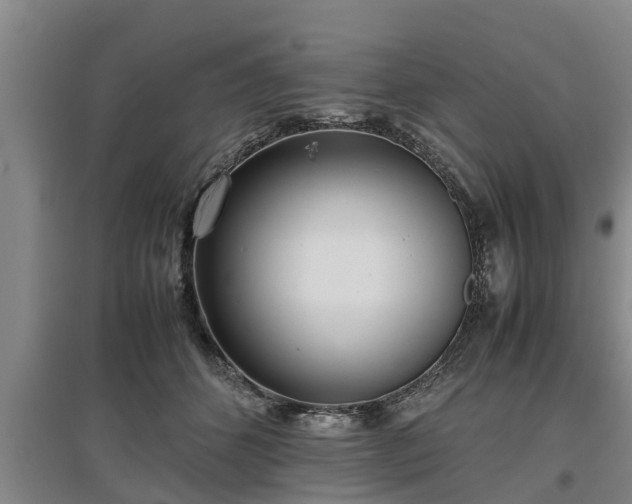 X0000097480512200802291401