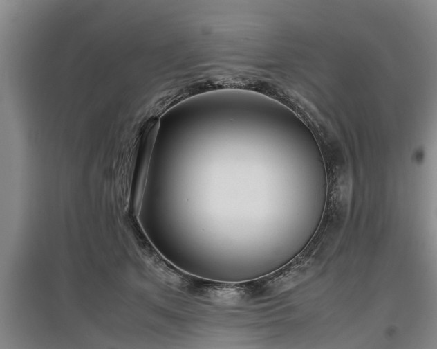 X0000097480513200802291401