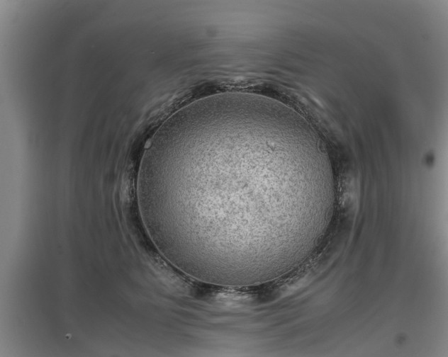 X0000097480515200802291401