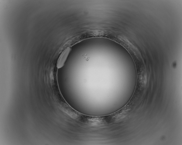 X0000097480516200802291401