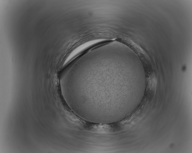 X0000097480517200802291401