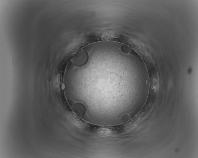 X0000097480519200802291401