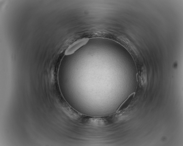 X0000097480520200802291401