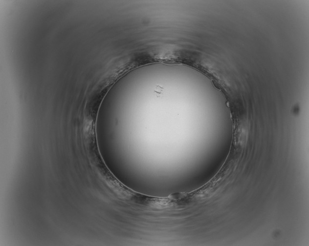 X0000097480521200802291401