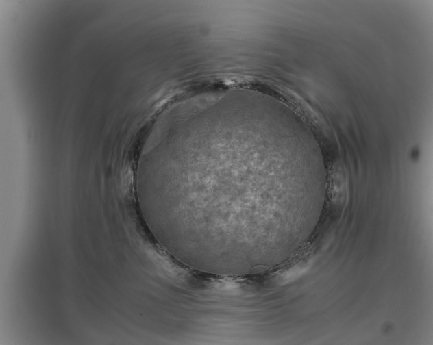 X0000097480523200802291401