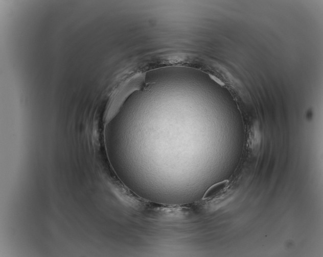 X0000097480524200802291401