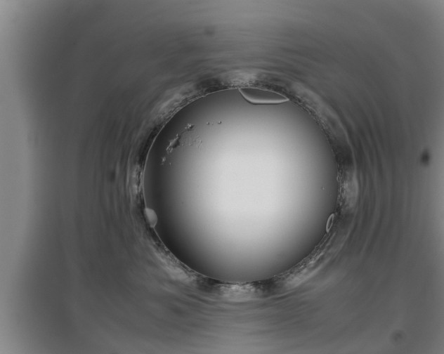 X0000097480525200802291401