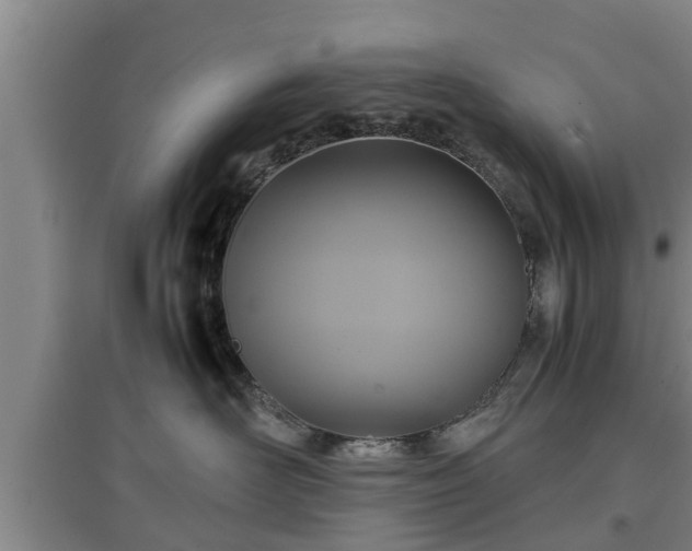 X0000097480526200802291401