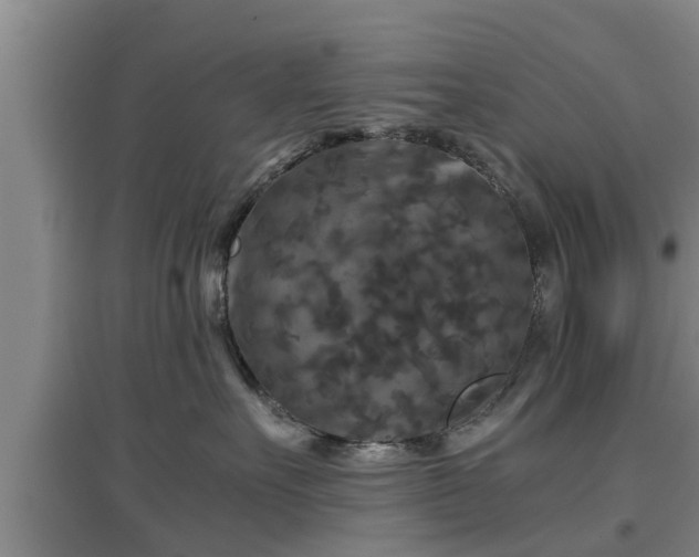 X0000097480527200802291401