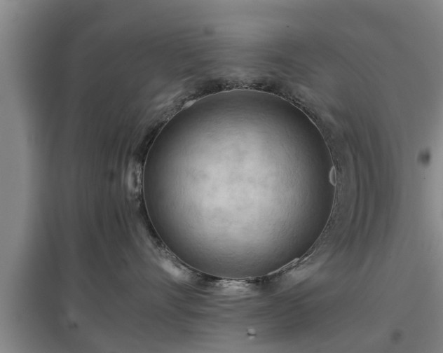 X0000097480528200802291401