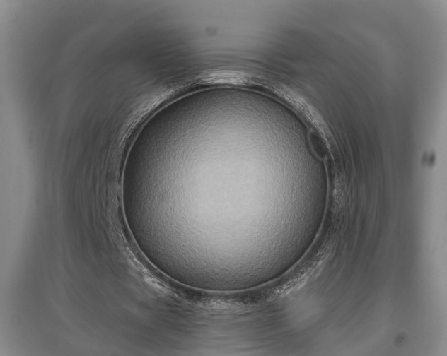 X0000097480529200802291400