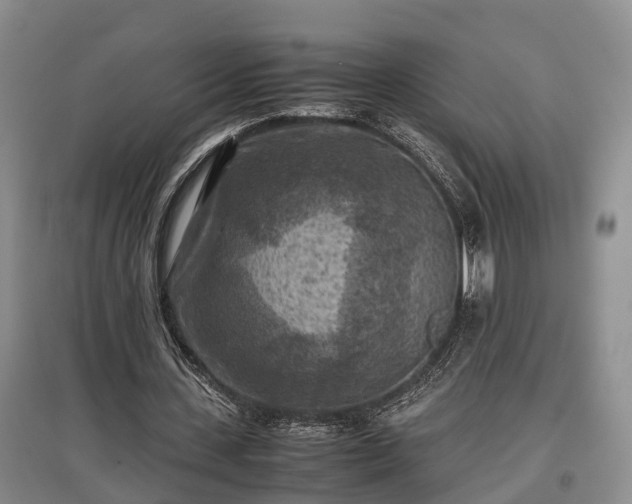 X0000097480531200802291400