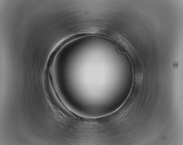 X0000097480532200802291400