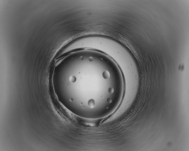 X0000097480534200802291400