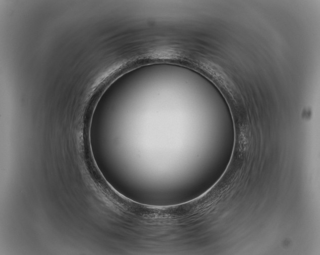 X0000097480535200802291400