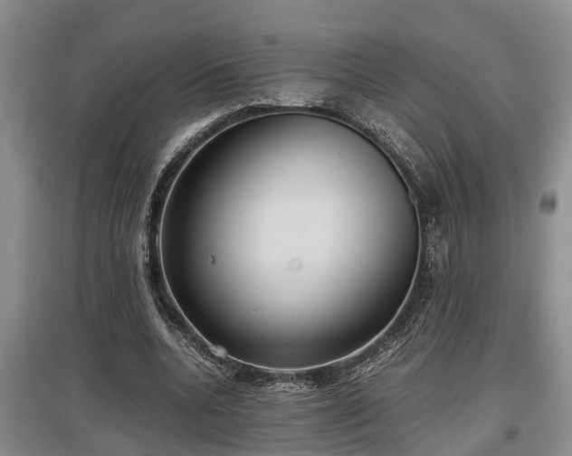 X0000097480536200802291400