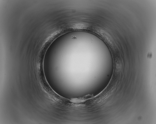 X0000097480539200802291400