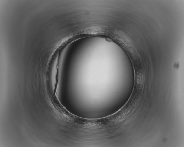 X0000097480540200802291400