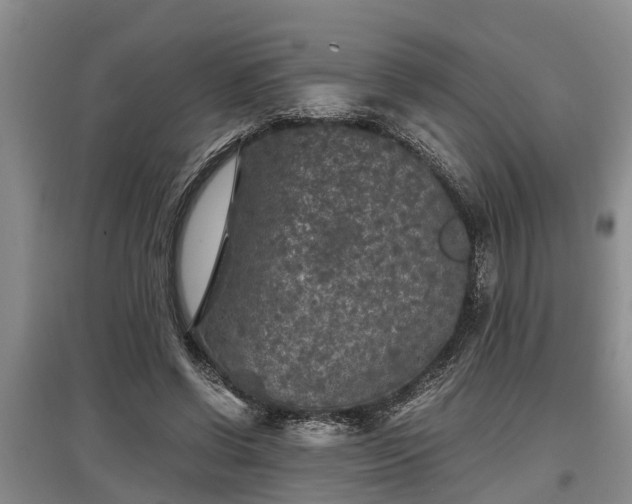 X0000097480542200802291400