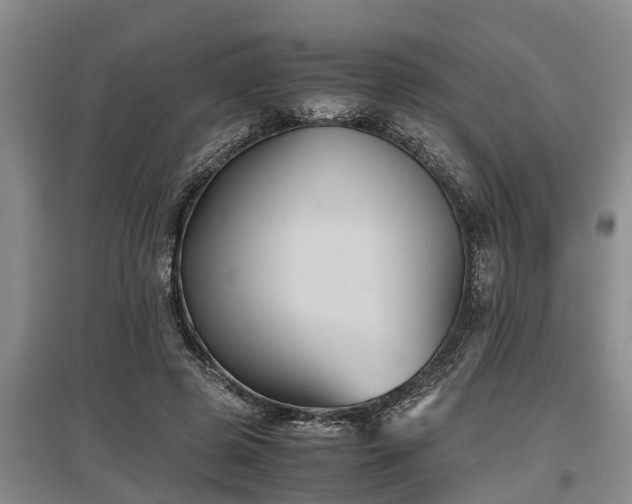 X0000097480545200802291400