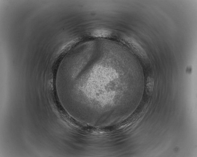 X0000097480547200802291400