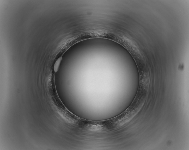 X0000097480548200802291400