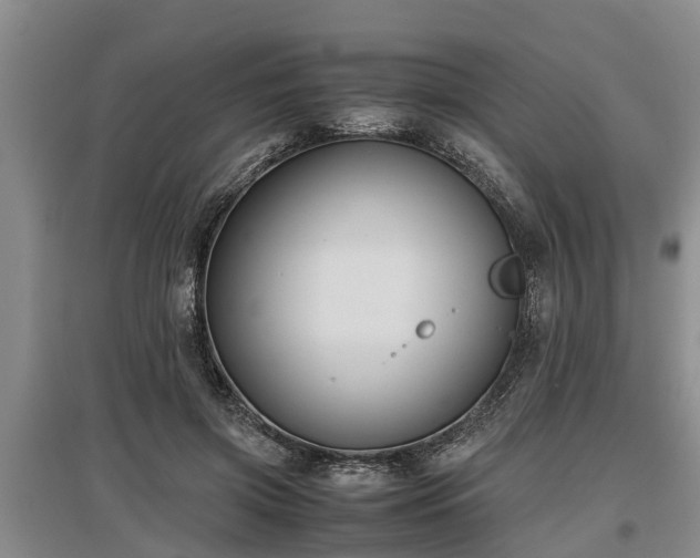 X0000097480549200802291400