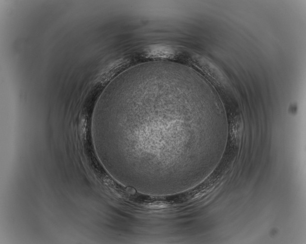 X0000097480551200802291400