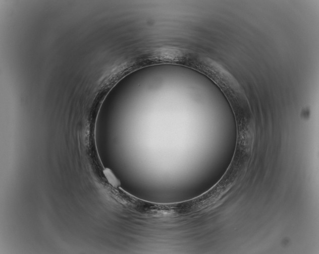 X0000097480552200802291401