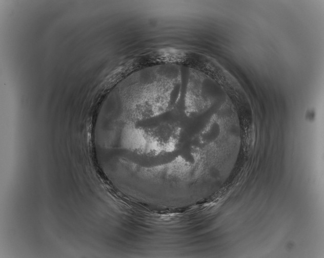 X0000097480553200802291401