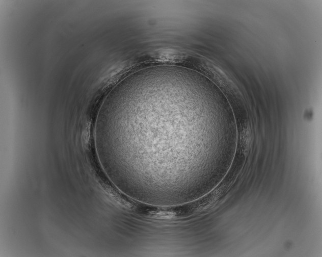 X0000097480554200802291401