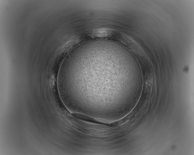 X0000097480555200802291401