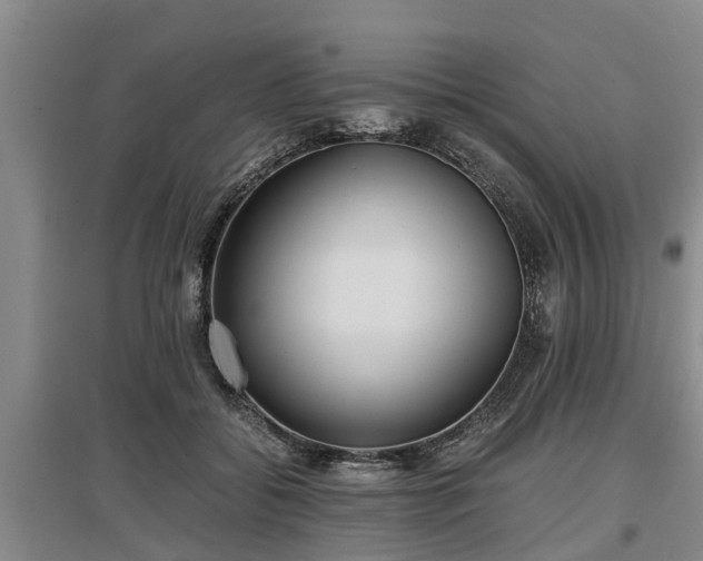 X0000097480556200802291401