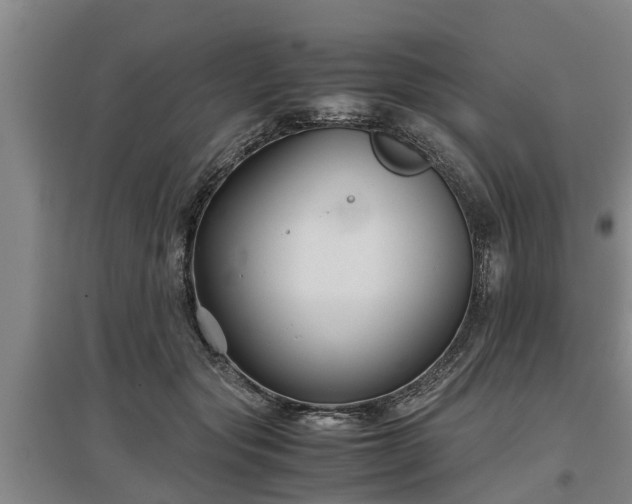 X0000097480557200802291401