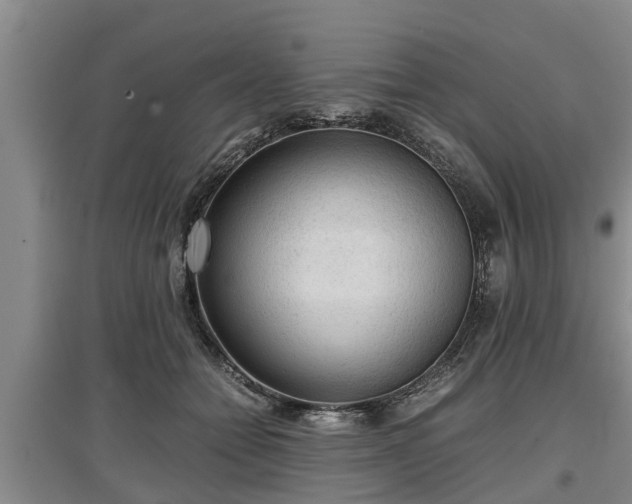 X0000097480558200802291401