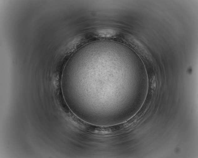 X0000097480559200802291401