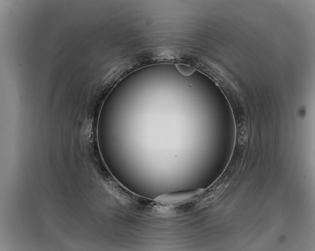 X0000097480560200802291401