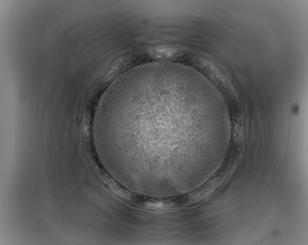 X0000097480561200802291401