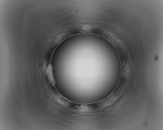 X0000097480562200802291401