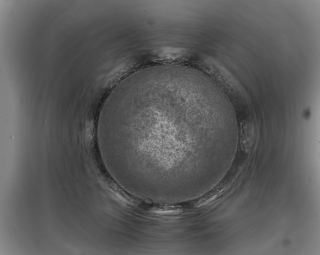 X0000097480563200802291401