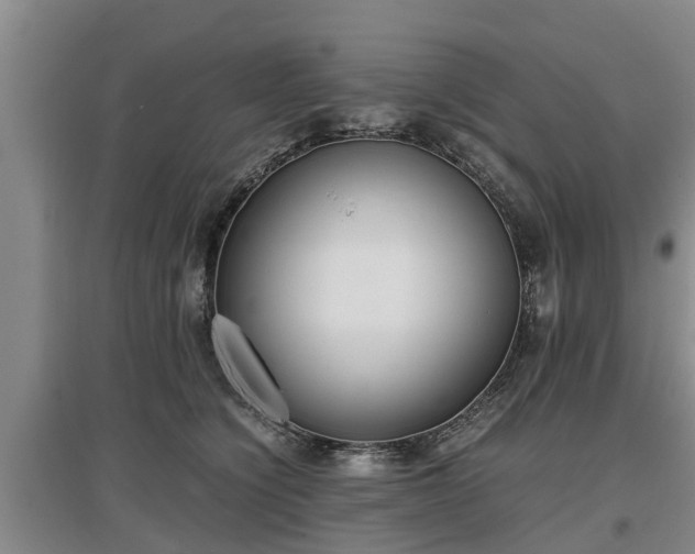 X0000097480564200802291401