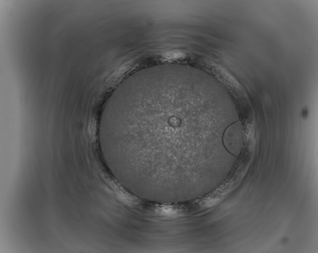 X0000097480565200802291401