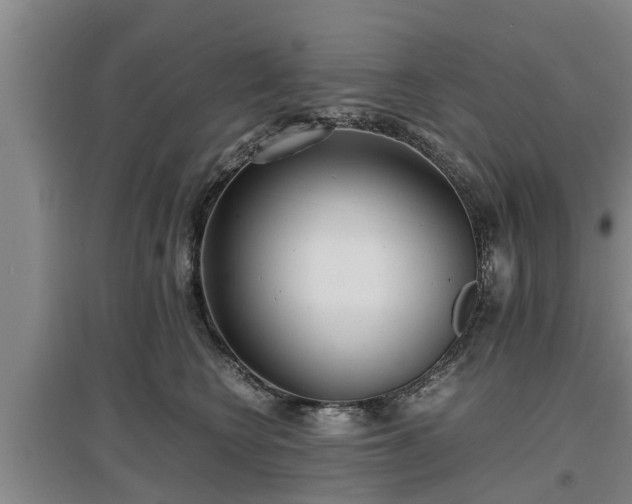 X0000097480566200802291401