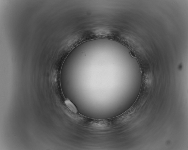 X0000097480567200802291401