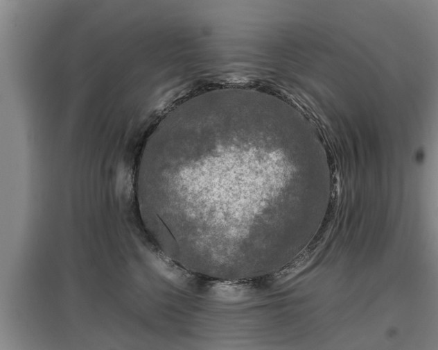 X0000097480568200802291401