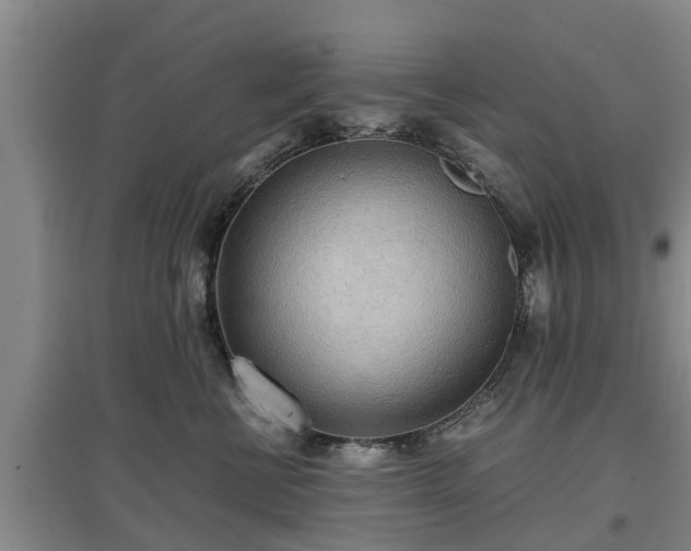 X0000097480570200802291401