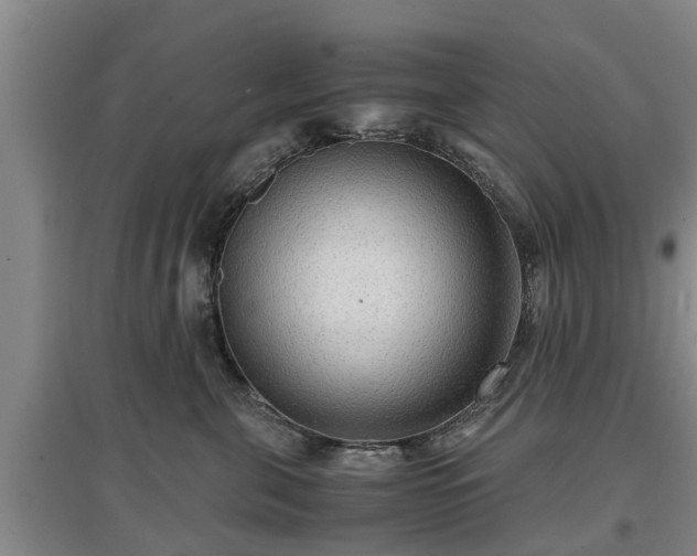 X0000097480571200802291401