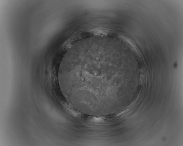 X0000097480573200802291401