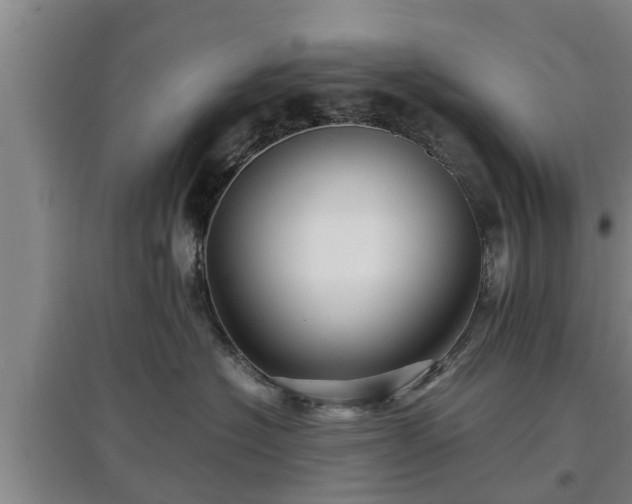 X0000097480574200802291401